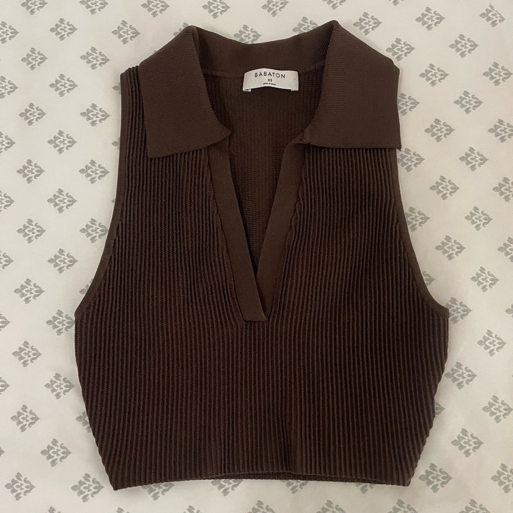 Aritzia Babaton Sculpt Knit Polo Top in Brown